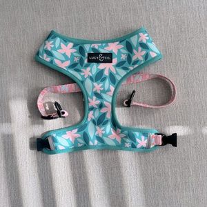Lucy & Co - Harness and Leash Set (XL)
